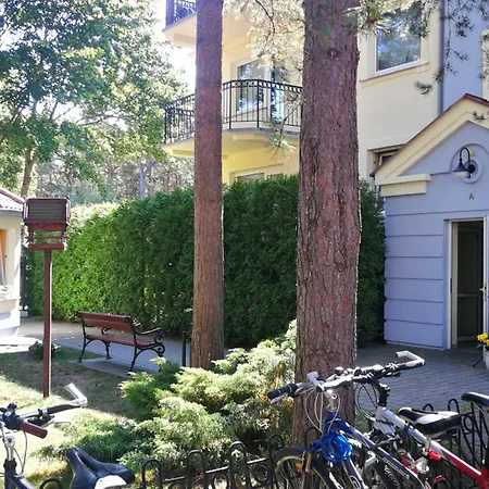 Camelia Appartement *