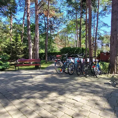 Appartement Camelia *