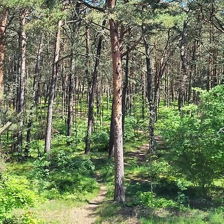 Appartement Camelia Jurata