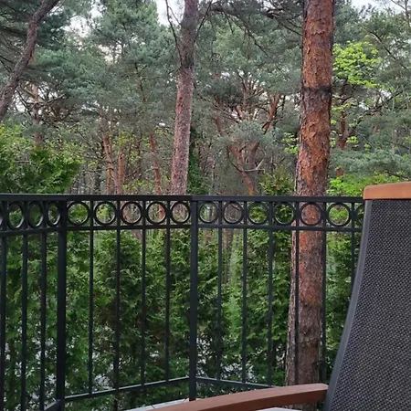 Camelia Appartement *