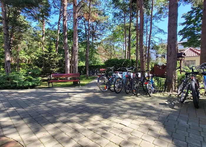 Апартаменты Camelia *