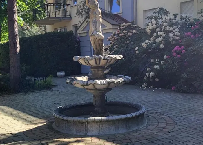 Camelia * Юрата